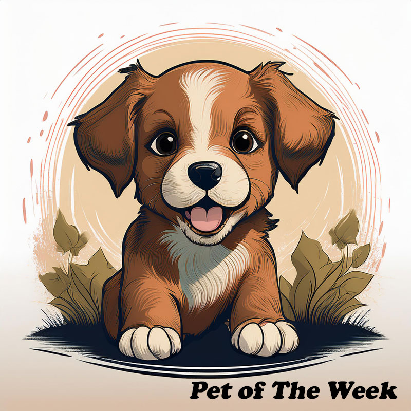 PetOfTheWeek